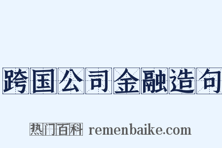 跨国公司金融造句是什么意思的图片